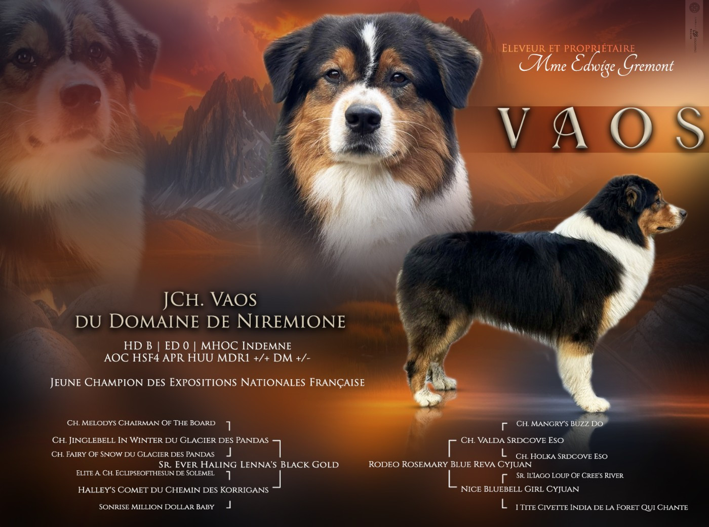 Vaos Du Domaine De Nirémione